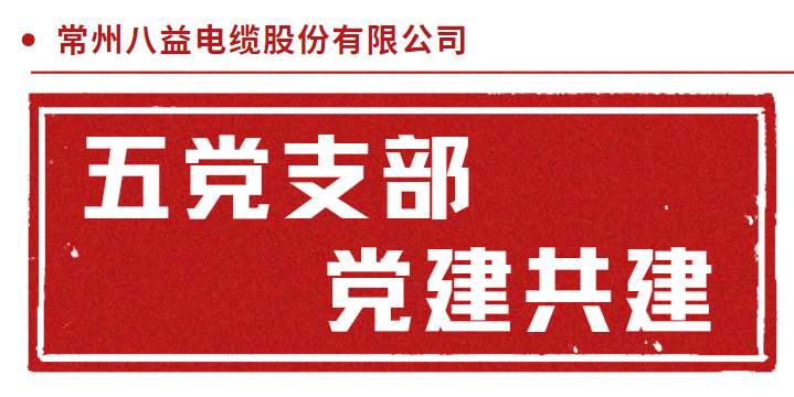 三門核電倒送電耐火電纜 五黨支部黨建共建！